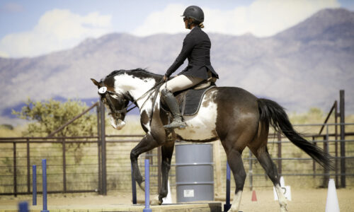 EOH Level 3 Scoring test